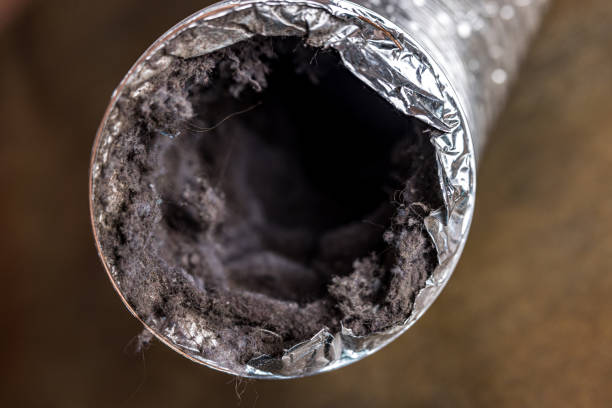 Best Professional Duct Cleaning Services  in Algona, WA