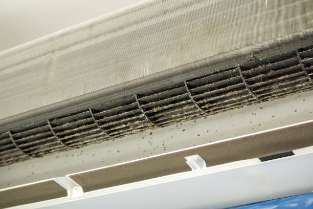  Algona, WA Airduct Cleaning Pros